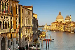 Renaissance Prints: DDE-90032183