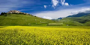 Fertile Prints: DDE-90032210