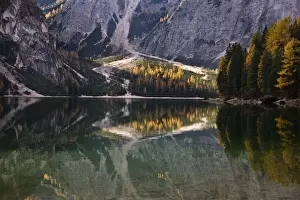 Larix Prints: DDE-90032382