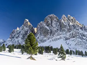 Tyrol Prints: DDE-90032441