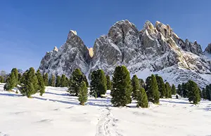 Tyrol Prints: DDE-90032442