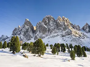 Tyrol Prints: DDE-90032443