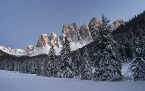 Tyrol Prints: DDE-90032444