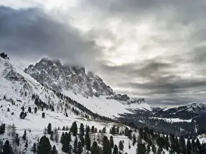 Tyrol Prints: DDE-90032445