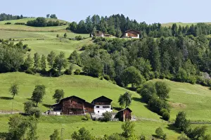 Dolomite Prints: DDE-90032578