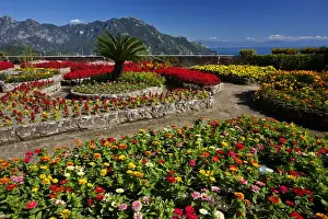 Amalfi Prints: DDE-90032653