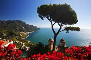 Amalfi Prints: DDE-90032655