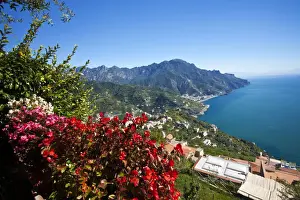 Amalfi Prints: DDE-90032656