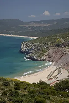 Cove Prints: DDE-90032760