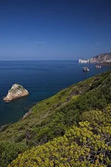 Sardinia Prints: DDE-90032783