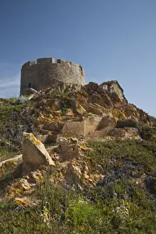 Ruin Prints: DDE-90032797