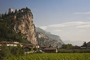 Tyrol Prints: DDE-90032816