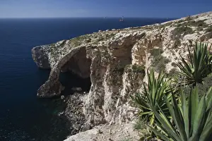 Malta Prints: DDE-90032887