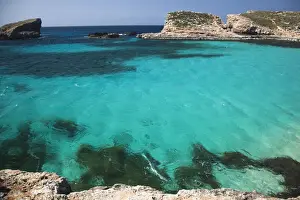 Malta Prints: DDE-90032908
