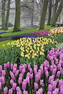 Planted Prints: DDE-90032923