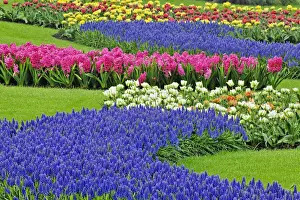 Landscaping Prints: DDE-90032927