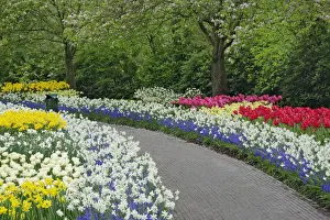 Walkway Prints: DDE-90032995