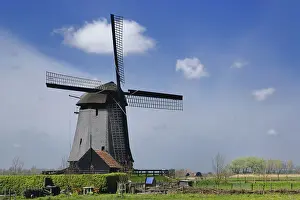 Pastoral Prints: DDE-90033001