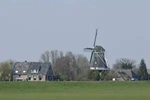 Windmill Prints: DDE-90033154