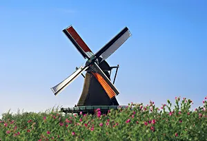 Netherlands Collection: DDE-90033229