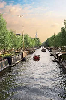 Netherlands Collection: DDE-90033238