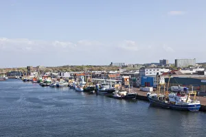 Netherlands Collection: DDE-90033239