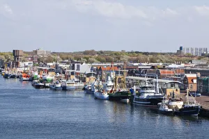 Netherlands Collection: DDE-90033240
