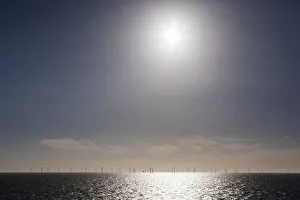 Netherlands Collection: DDE-90033241