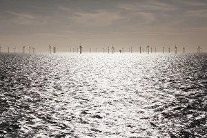 Netherlands Collection: DDE-90033243