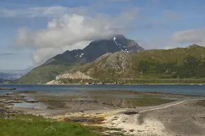 Lofoten Prints: DDE-90033289