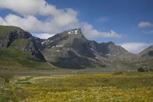 Lofoten Prints: DDE-90033293