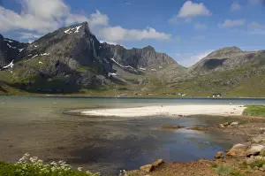Lofoten Prints: DDE-90033294
