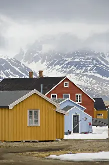 Cabin Prints: DDE-90033307