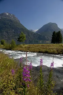 Norwegian Prints: DDE-90033427