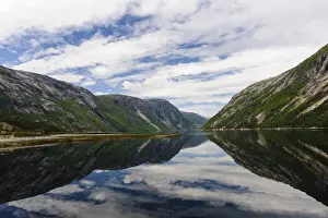 Fredrik Prints: DDE-90033457