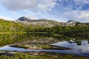 Fredrik Prints: DDE-90033461