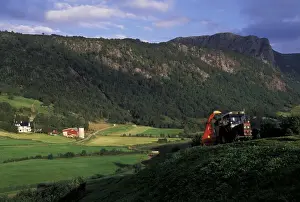 Farmer Prints: DDE-90033522