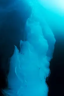 Submerged Prints: DDE-90033586
