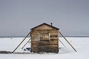 Cabin Prints: DDE-90033751