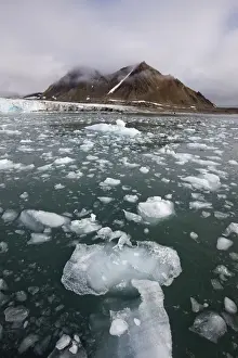 Icebergs Prints: DDE-90033817