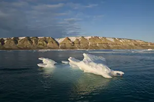 Floe Prints: DDE-90034014