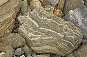 Geologic Prints: DDE-90034085