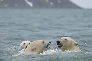Nanook Prints: DDE-90034180