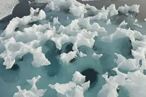 Glacial Prints: DDE-90034295