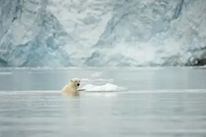 Nanook Prints: DDE-90034307
