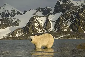 Nanook Prints: DDE-90034315