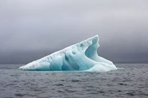 Glacial Prints: DDE-90034395