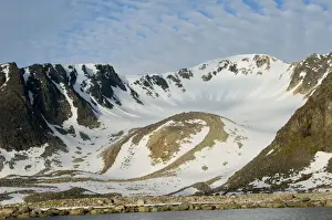 Glacial Prints: DDE-90034406