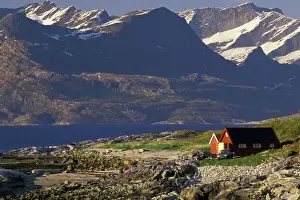 Cabin Prints: DDE-90034441