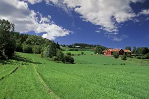 Barn Prints: DDE-90034447